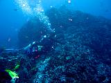 Isla del Coco - 144